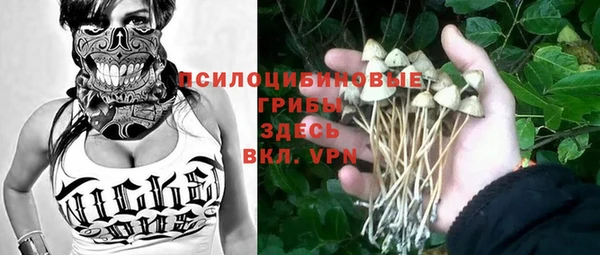 меф Горняк