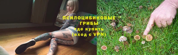 меф Горняк