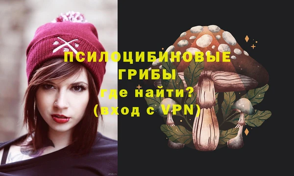 гашик Горнозаводск